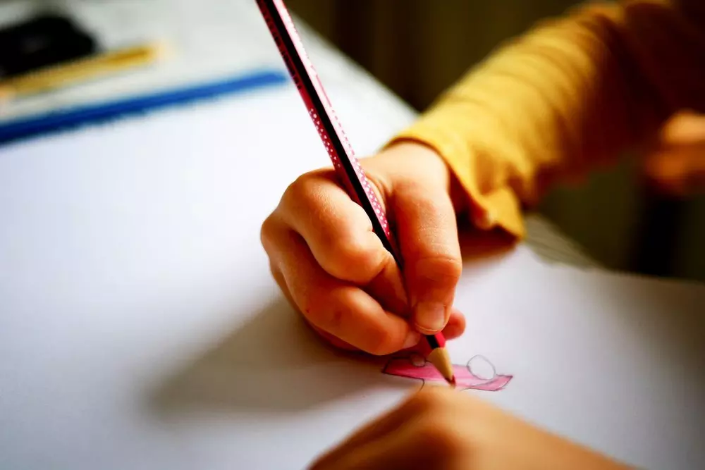 Healthy school meals improve health and learning performance