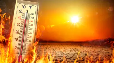 Heatwave With Warm Thermometer And Fire - Global Warming And Extreme Climate - Environment Disaster - contain 3d Rendering