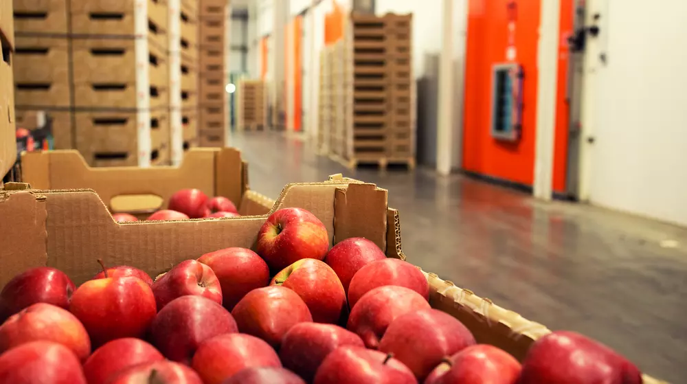 Apple fruit waiting to be moved into cold storage in food processing factory.