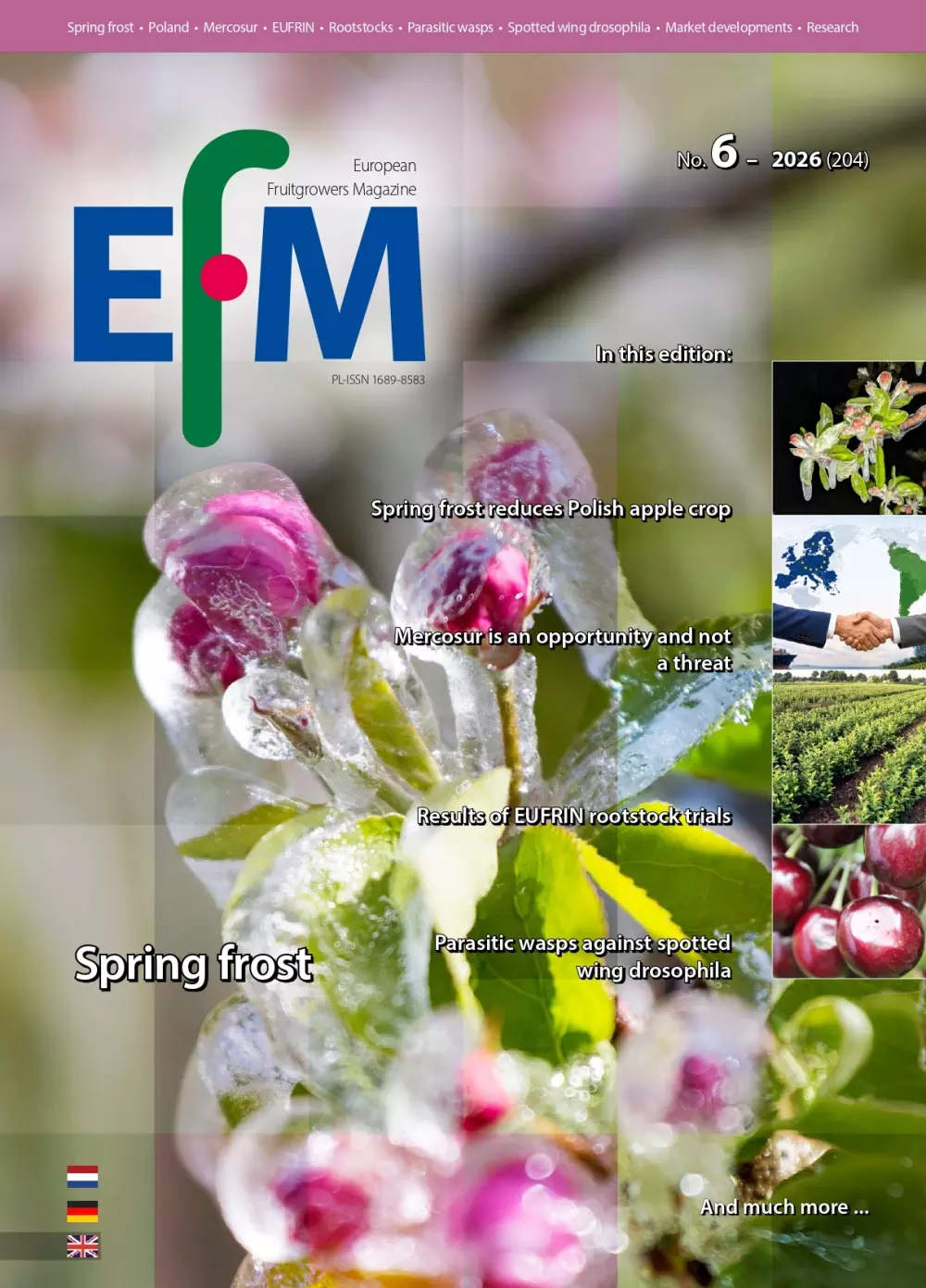 EFM-2026-06 -EN