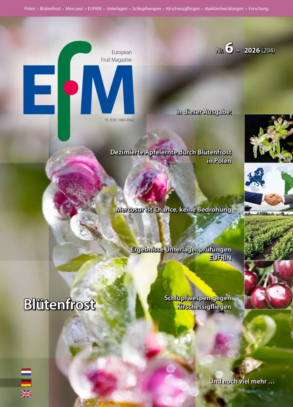 EFM-2026-06-DE