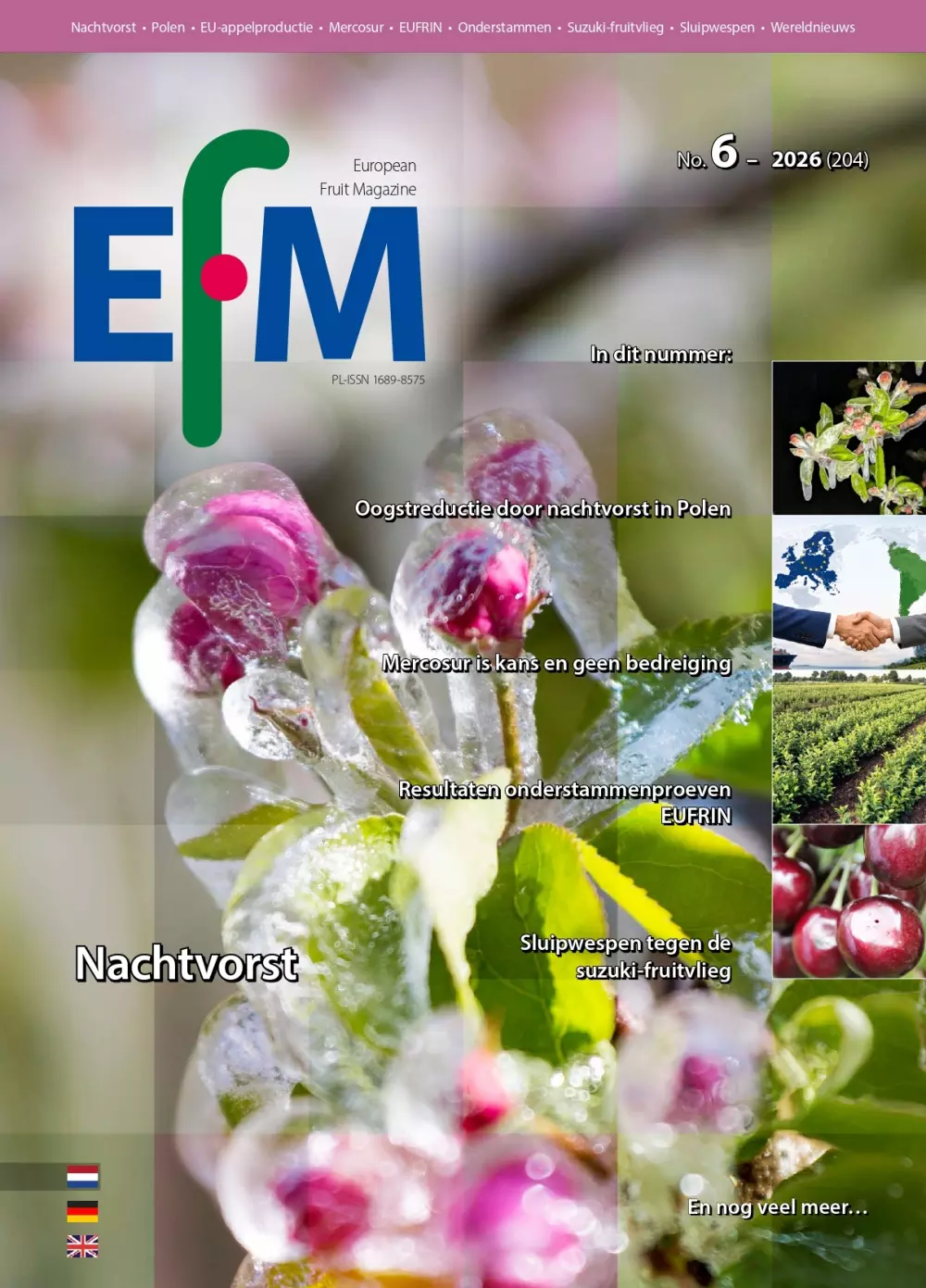 EFM-2026-06-NL