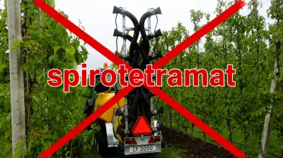 Environmental organisations challenge emergency authorisations for spirotetramat