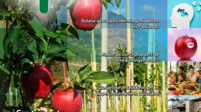 EFM-2026-0708-NL