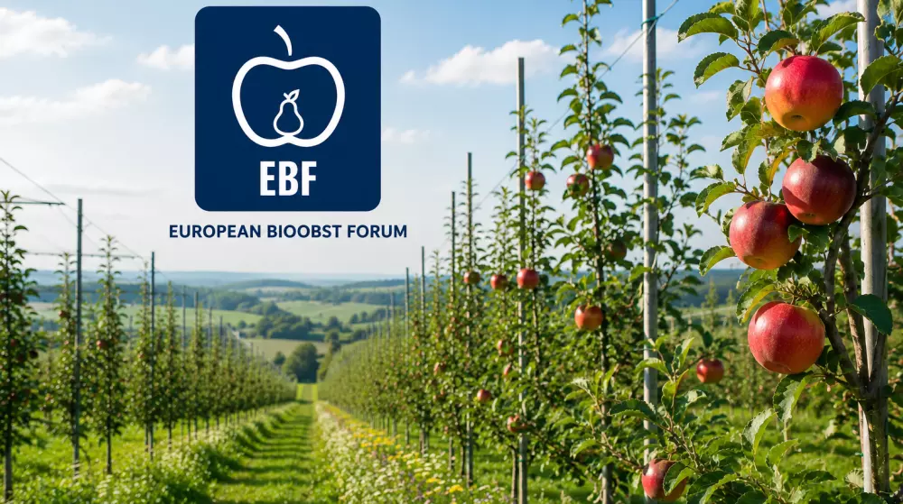 EBF publishes crop forecast for organic apples and pears