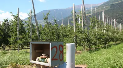 Beregeningsverbod voor fruittelers in S&uuml;dtirol
