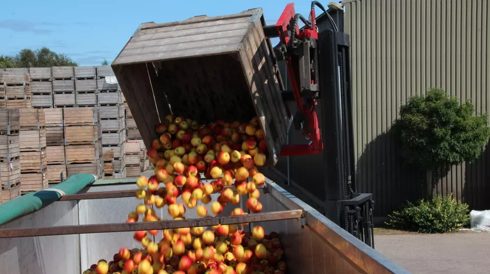 German fruit growers sound the alarm