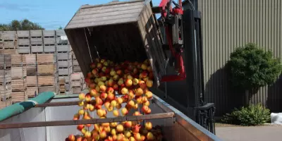German fruit growers sound the alarm