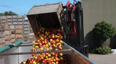 Duitse fruittelers luiden de noodklok