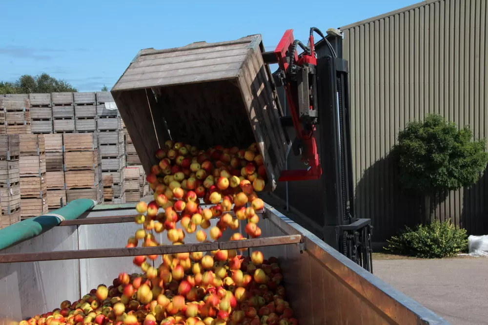 Duitse fruittelers luiden de noodklok