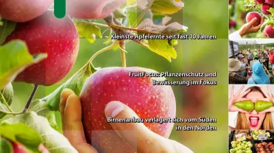 EFM-2026-09-DE