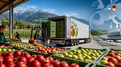 Germany imported fewer apples in 2025/2026