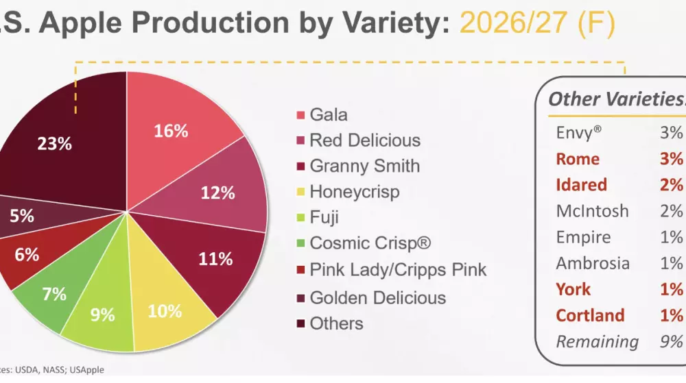USApple expects 6% less apples than last year