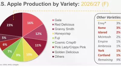 USApple expects 6% less apples than last year
