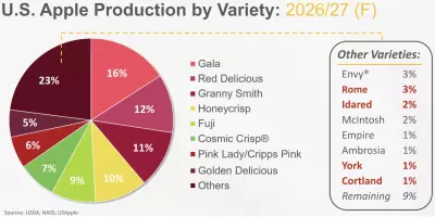 USApple expects 6% less apples than last year