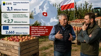 Diskussion &uuml;ber Umfang der polnischen Apfelernte