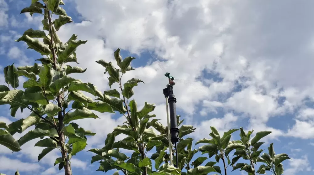 Crop protection and irrigation with S.O.PH.I.A. (video)