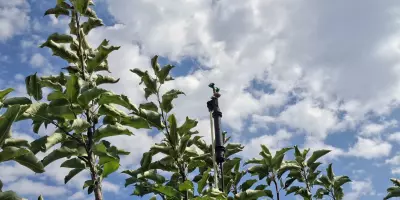 Crop protection and irrigation with S.O.PH.I.A. (video)