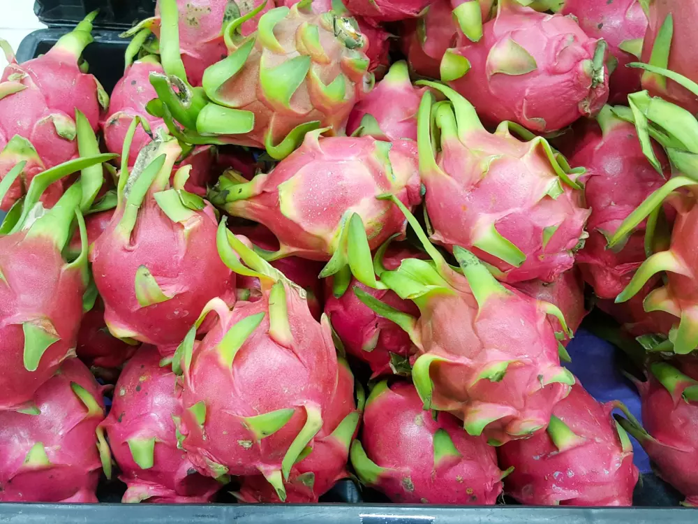 Climate change enables pitaya production in Spain