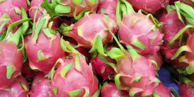 Climate change enables pitaya production in Spain