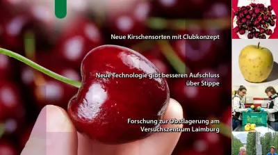 EFM2026-10 jetzt online verf&uuml;gbar