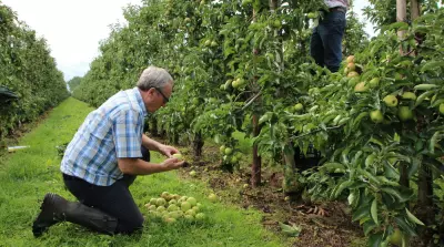 Zusammenschluss von Vereinigter Hagel und Gartenbau-Versicherung geplant