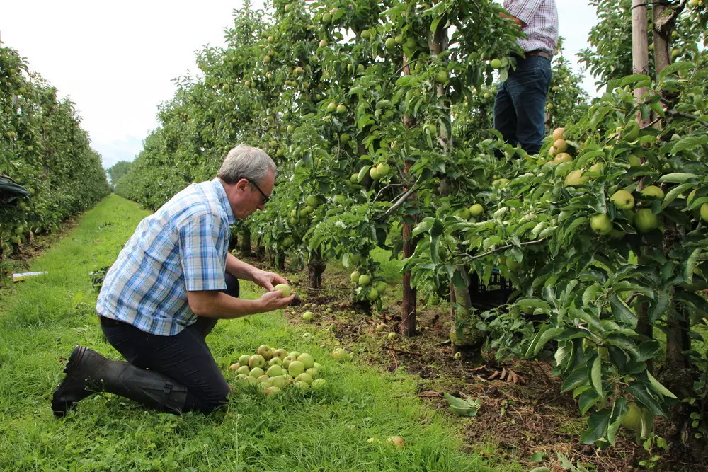 Zusammenschluss von Vereinigter Hagel und Gartenbau-Versicherung geplant